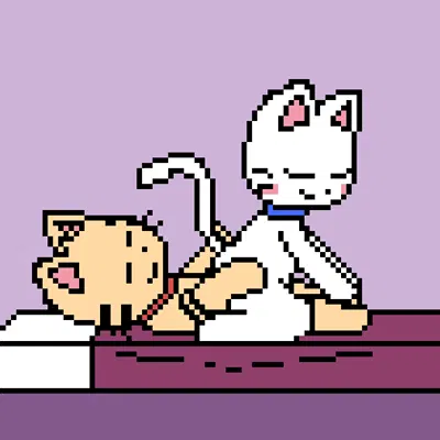 jeff (pronista), sam (pronista)