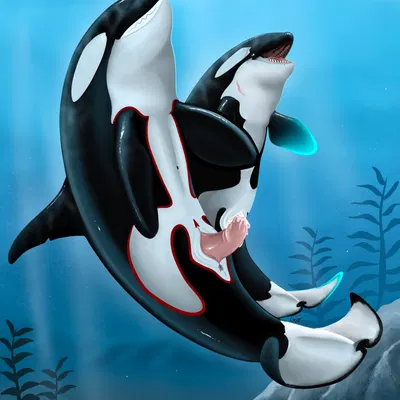 kayla the orca, lionel (saltdance) created by the glow whale