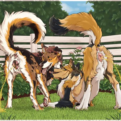 kiba wolfdog created by mukinky