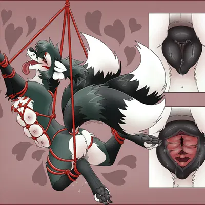 kiko (lynx scenting) created by bookabashka