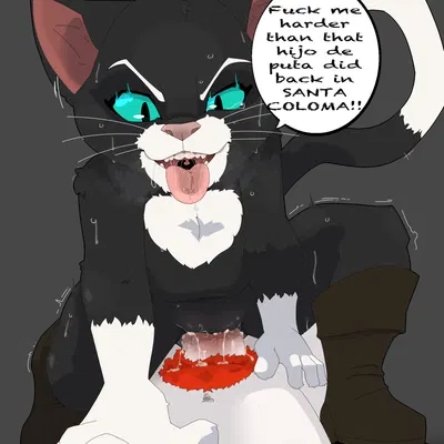 kitty softpaws (dreamworks, puss in boots (franchise)) created by nanuna