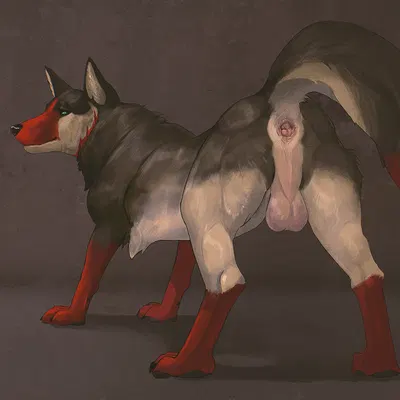 koma bloodpaw created by cosmiclife