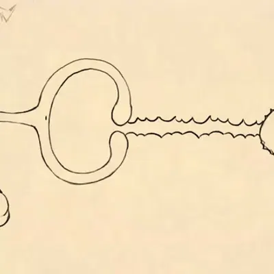 landon (fellowwolf) created by fellowwolf