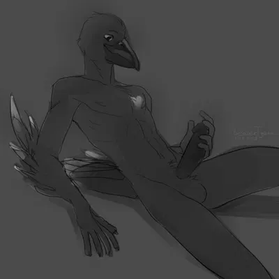 libri created by beavertyan