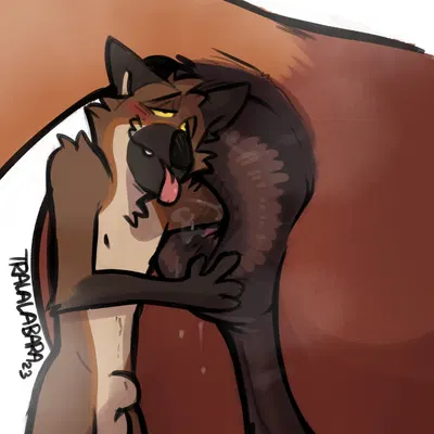 lucas (lucastheshep) created by haps