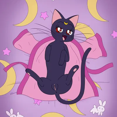 luna (sailor moon) (sailor moon (series)) created by 39coit