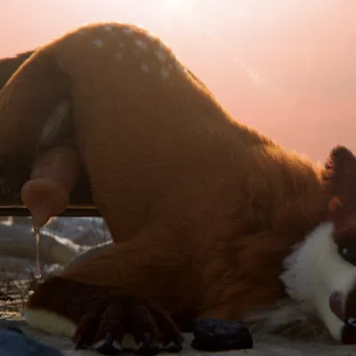 maple (shinyumbra) created by shinyumbra