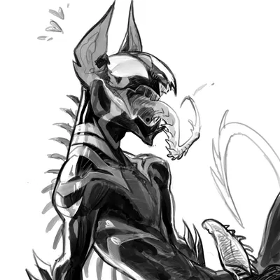 max (maxspite) created by maxspite