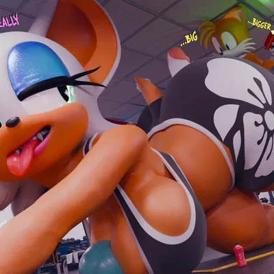 miles prower, rouge the bat (sega, sonic the hedgehog (series))