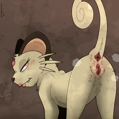 nintendo, pokemon created by yaldabroth