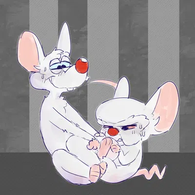 pinky (warner brothers), the brain (pinky and the brain, warner brothers) created by freakpaws