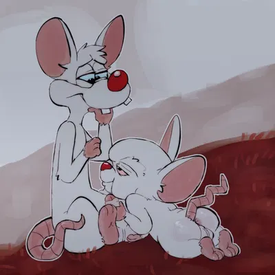 pinky (warner brothers), the brain (pinky and the brain, warner brothers) created by freakpaws