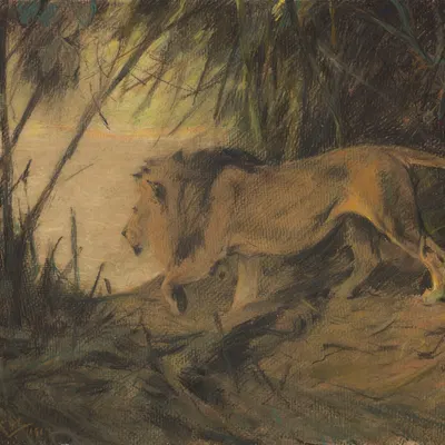 public domain created by friedrich wilhelm kuhnert