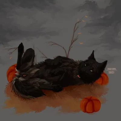 raukoth created by msdeadsoul