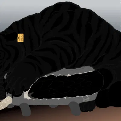 rhymald (rhymald) created by rhymald