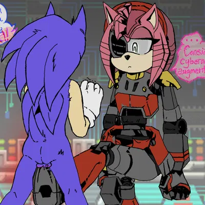 rusty rose, sonic the hedgehog (netflix, sega) created by ghostspookygoo