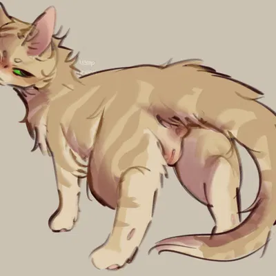 sandstorm (warriors) (warriors (book series)) created by gullswoop