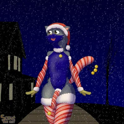 scout the cat (character) (5-sock outfit, christmas) created by scoutthecat02