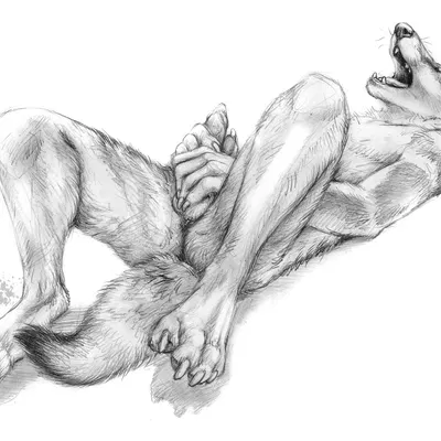 scratches volume 6 created by blotch