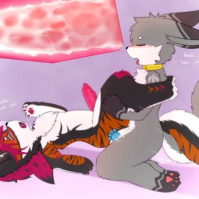 sean (senz) created by senz