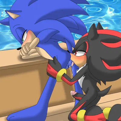 shadow the hedgehog, sonic the hedgehog (sega, sonic the hedgehog (series)) created by angelofhapiness