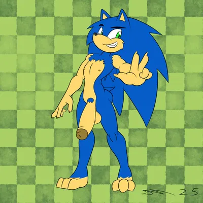 sonic the hedgehog (sega, sonic the hedgehog (series)) created by dirtymac, mac-daddy