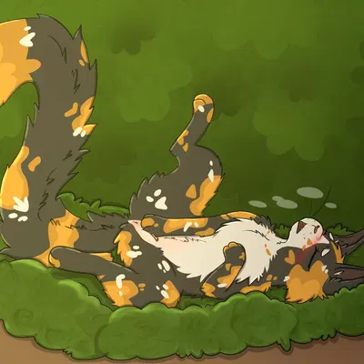 tawnypelt (warriors) (warriors (book series)) created by whitefroggim