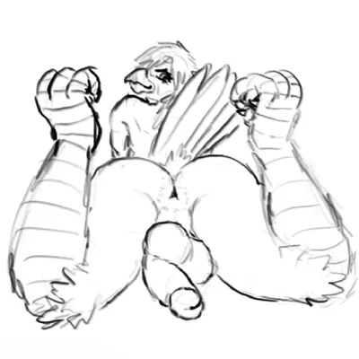 torian (shybird) created by shybird