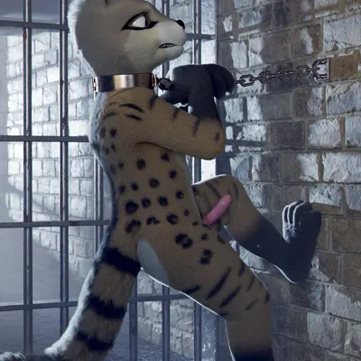 trapa created by veo