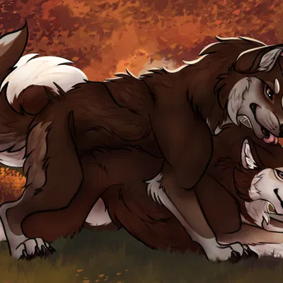 aimo (cookiewuff) created by killthe demon