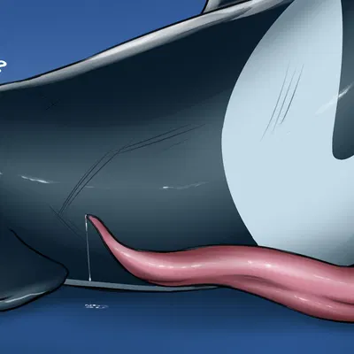 akai (akaitheorca) created by dolorcin