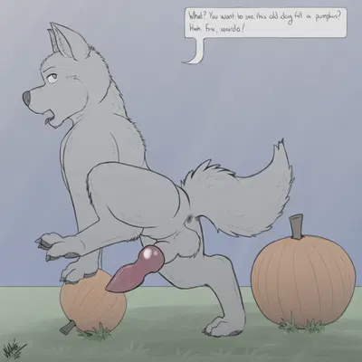 akame (ginga), kishu (ginga (series)) created by naatti (artist)