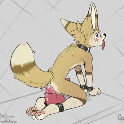 akasch created by cuteconfy