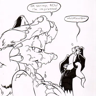 amarim, sheila vixen created by eric schwartz