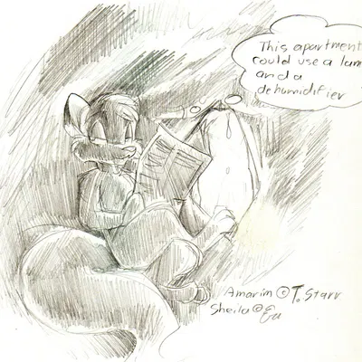 amarim, sheila vixen created by eric schwartz