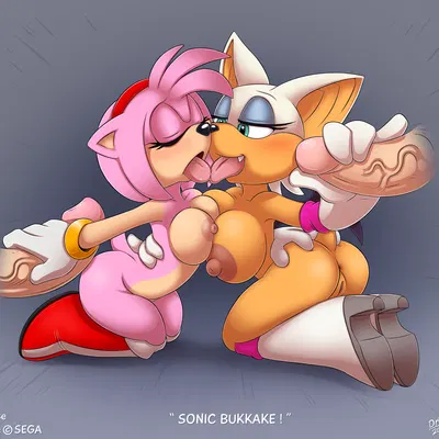 amy rose, rouge the bat (sega, sonic the hedgehog (series)) created by drxii, max blackrabbit