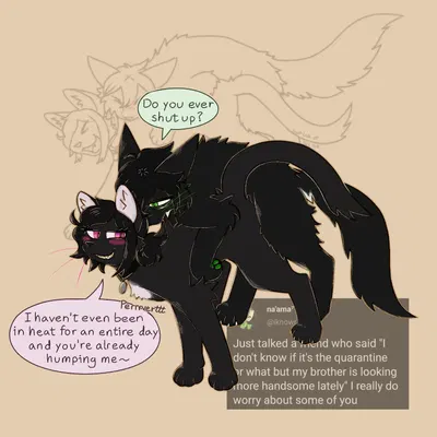 andrew graves, ashley graves (the coffin of andy and leyley) created by toxoplasmosis (toxoplasmatinae)