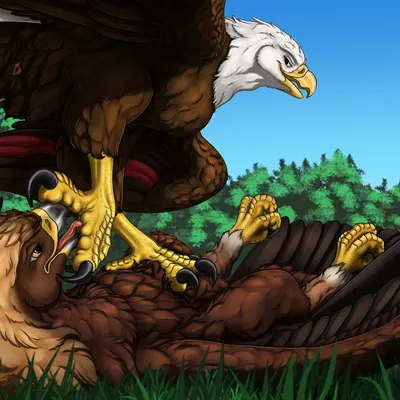 annie the eagle, sawyer (ferobird) created by ferobird