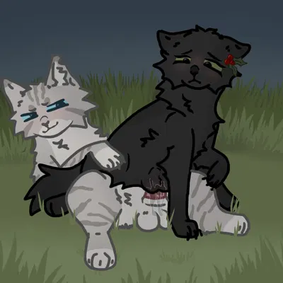 ashfur (thunderclan), hollyleaf (warriors) (warriors (book series)) created by blutcry