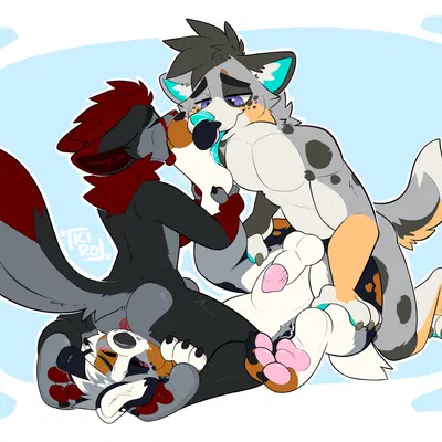 avery (averyshepherd), kiba aussie created by kiro fennec