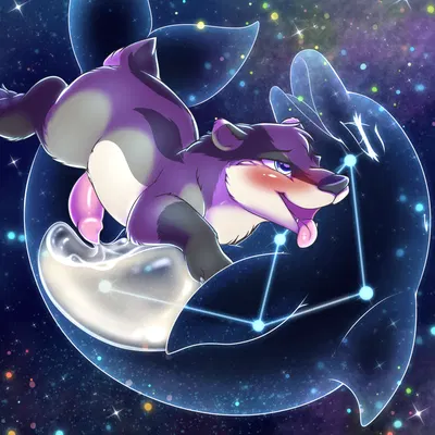 baz badger, delphinus (camychan) created by camychan