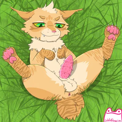 berrynose (warriors) (warriors (book series)) created by whitefroggim