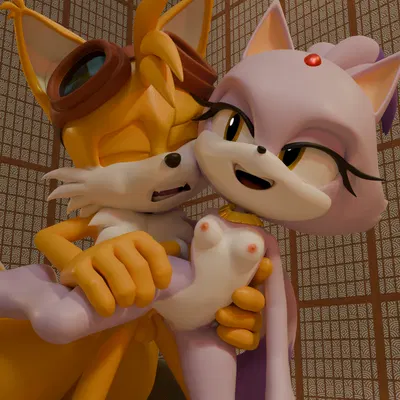 blaze the cat, miles prower (sega, sonic the hedgehog (series)) created by rotalice2