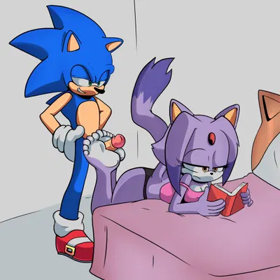 blaze the cat, sonic the hedgehog (sega, sonic the hedgehog (series)) created by xao art