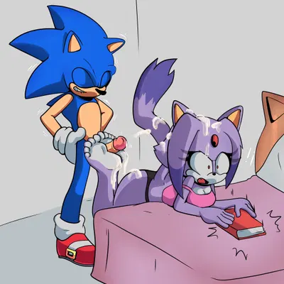 blaze the cat, sonic the hedgehog (sega, sonic the hedgehog (series)) created by xao art