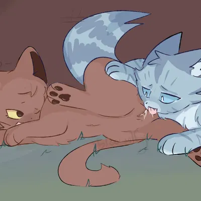 briarlight (warriors), jayfeather (warriors) (warriors (book series)) created by bloowolfy