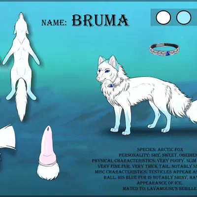 bruma (ninafoxxo) created by poliarnaya