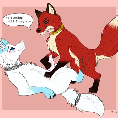 bruma (ninafoxxo), sebille (lavamouse) created by sylvertears