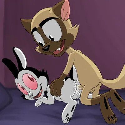 bunnicula, chester (bunnicula) (bunnicula (series), halloween) created by omatic