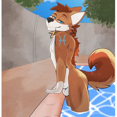 cain the dingo (western zodiac) created by epicbunbun